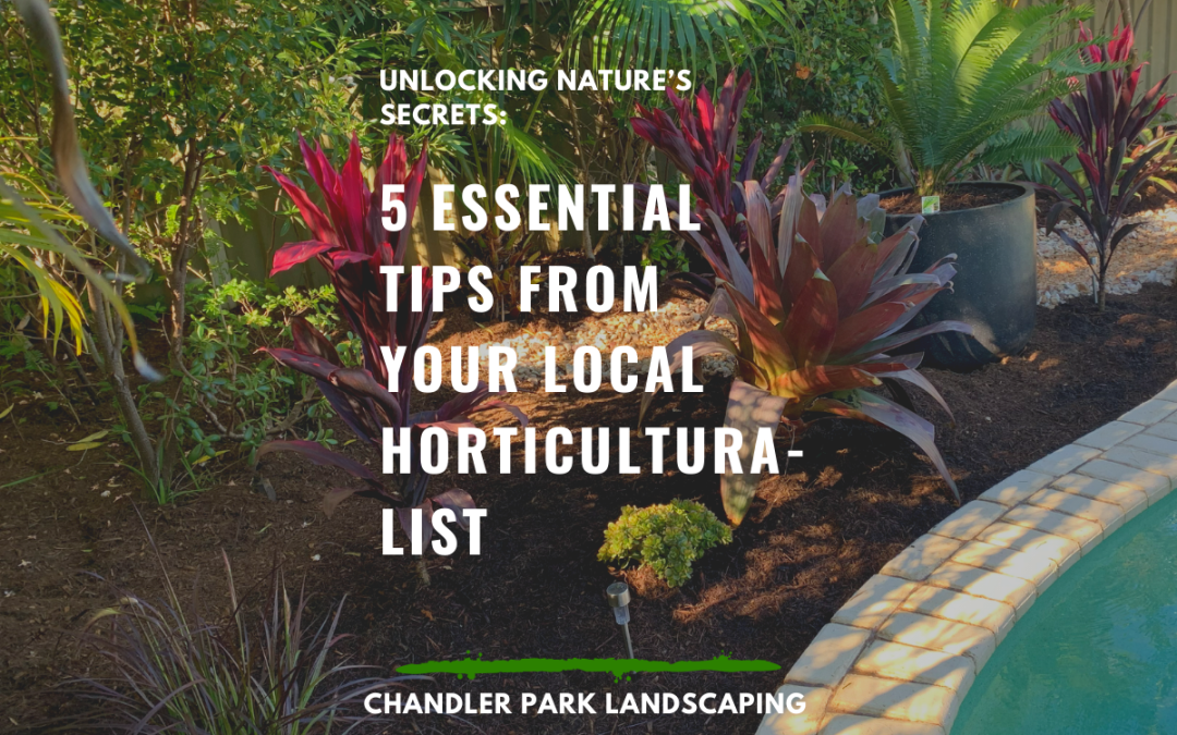 Mastering Queensland Summer Gardening: 5 Essential Tips from your Local Horticulturalist