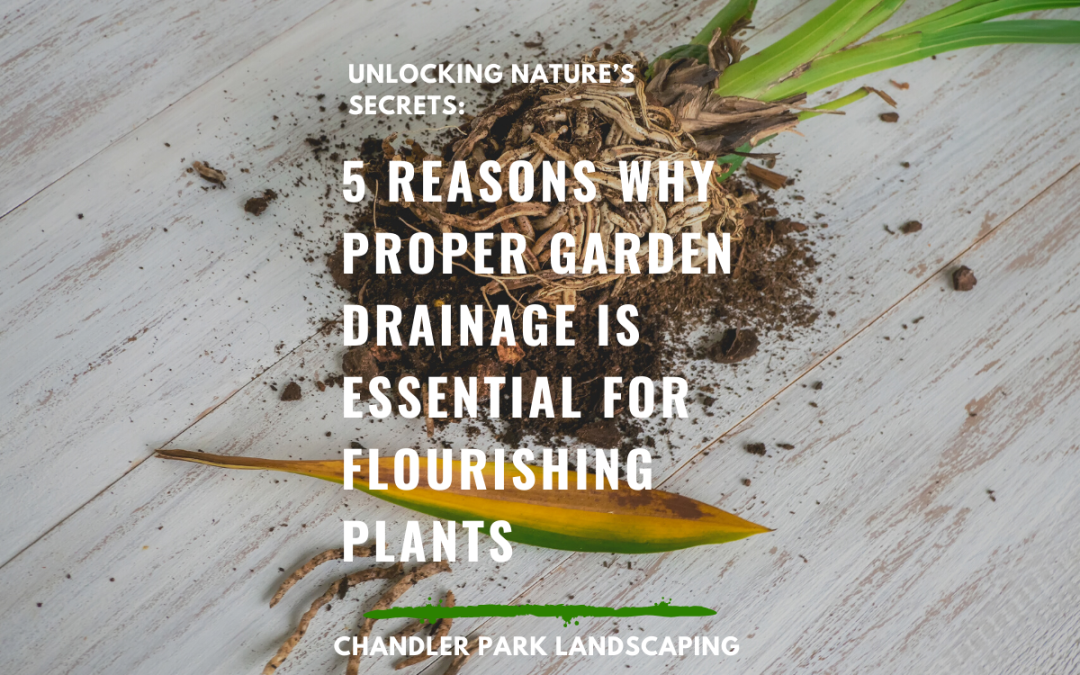 5 Reasons Why Proper Garden Drainage Is Essential for Flourishing Plants