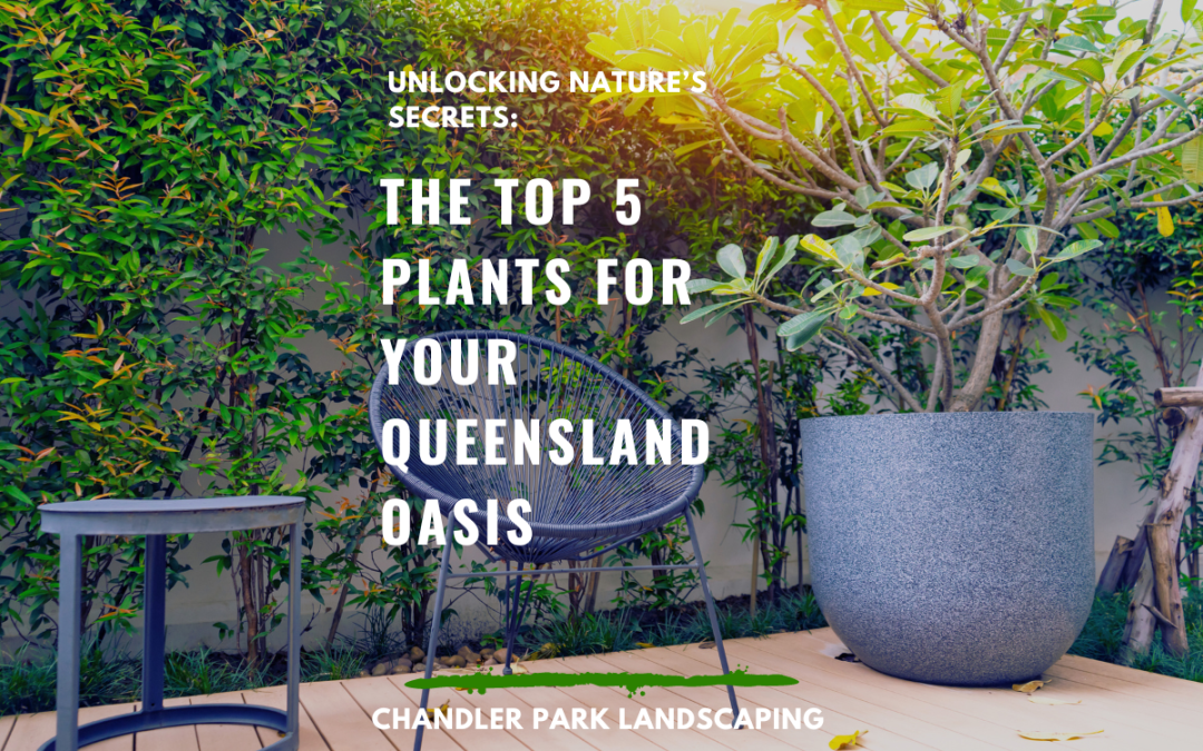 Flourishing Gardens Down Under: The Top 5 Plants for Your Queensland Oasis