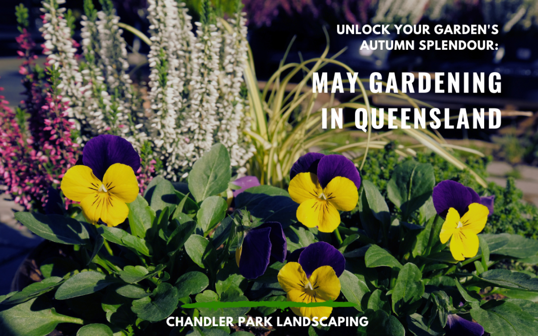 Unlock Your Garden’s Autumn Splendour – May Gardening in Queensland