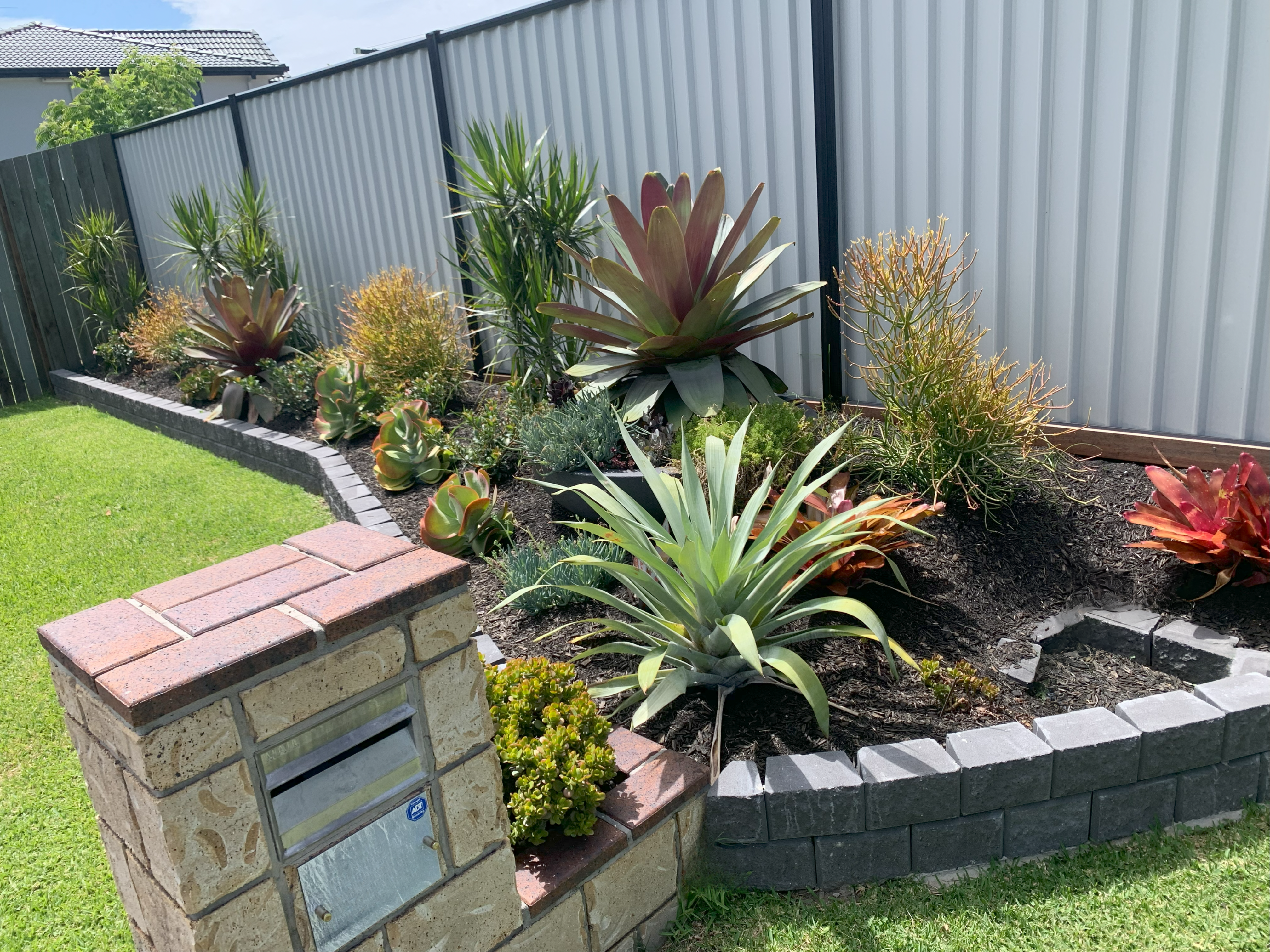 Raised Garden Bed Horticulture