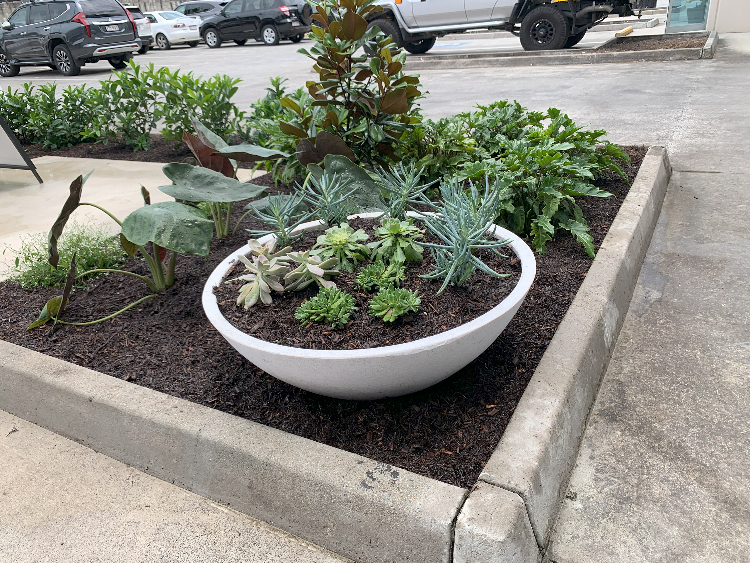Raised Garden Bed Variety