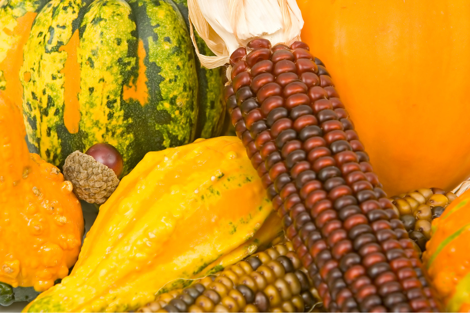 Companion Planting Produce Companion Planting Produce
