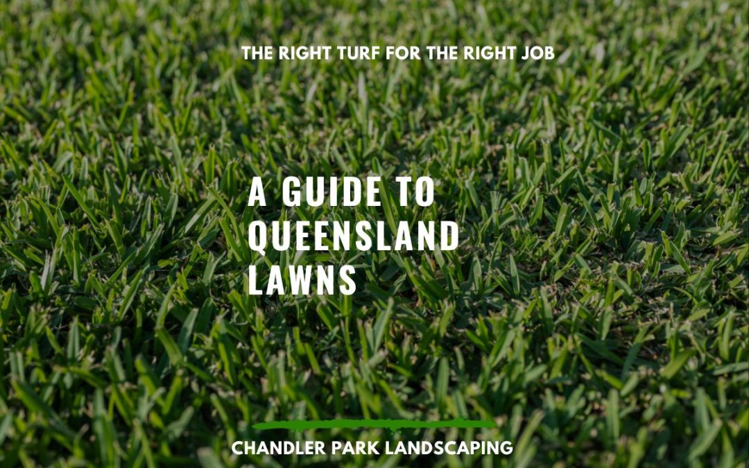 The Right Turf for the Right Job — A Guide to Queensland Lawns