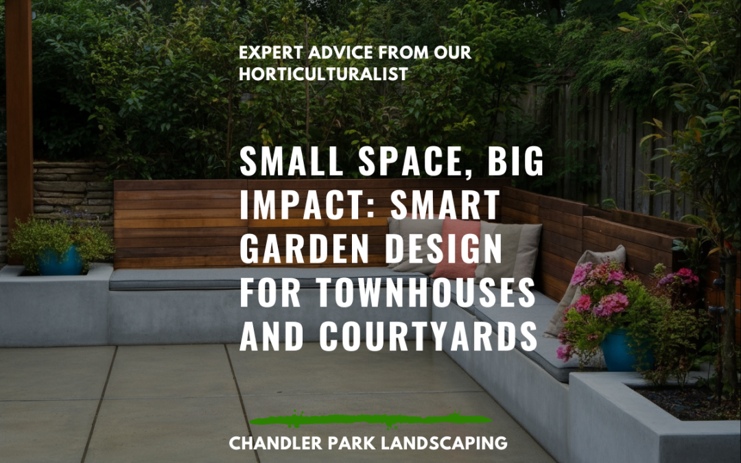Small Space, Big Impact: Smart Garden Design for Townhouses and Courtyards