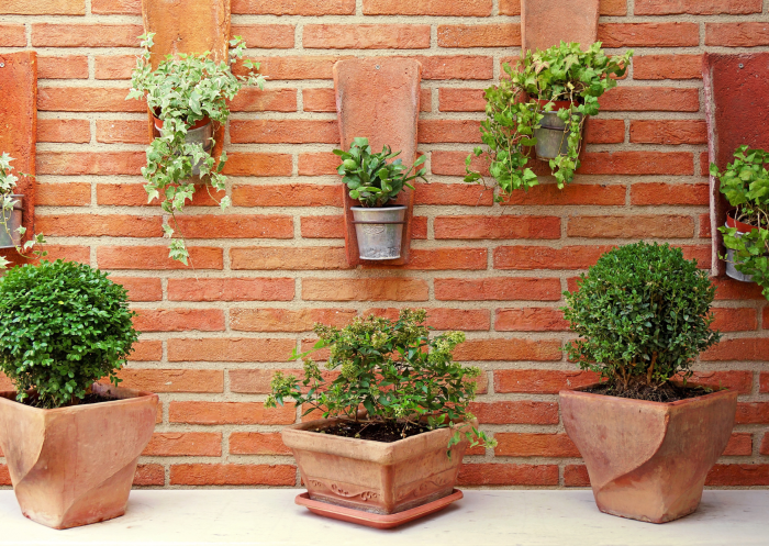 Stock Image 354950113 Potted Plants