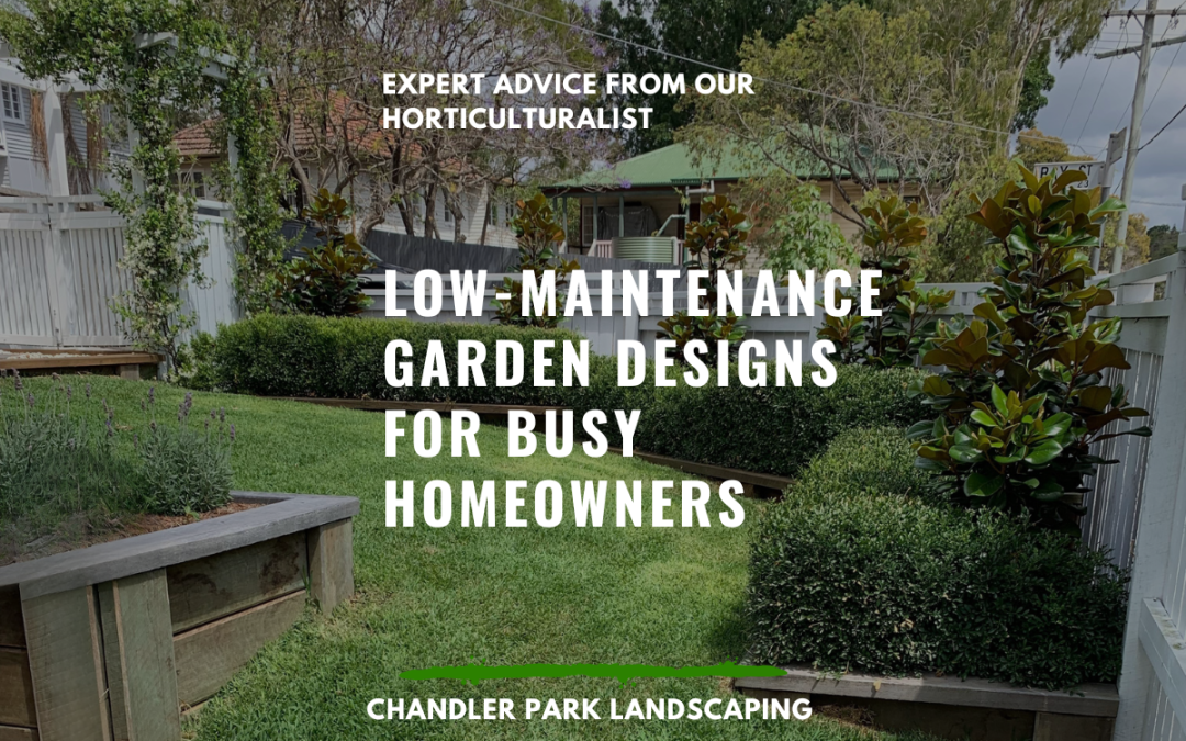 Low-Maintenance Garden Designs for Busy Homeowners: Ideas & Inspirations