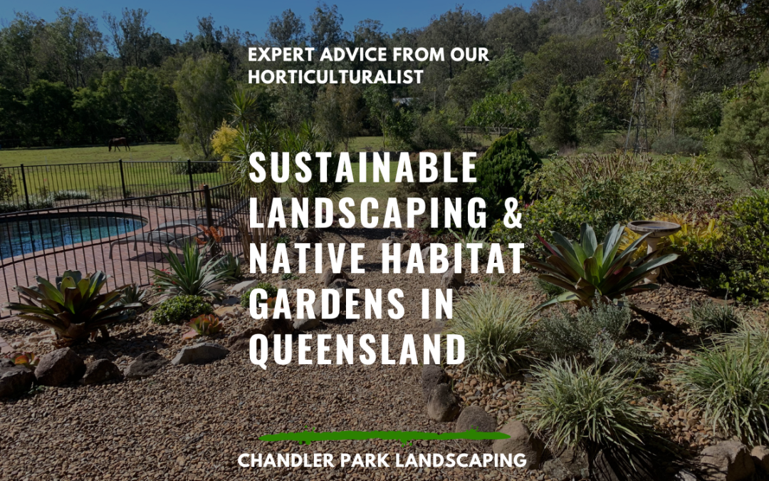 Sustainable Landscaping & Native Habitat Gardens in Queensland: Creating a Greener Future in Your Backyard