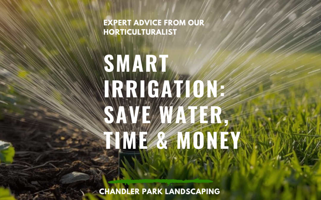 Smart Irrigation Systems for Brisbane Gardens: Save Water, Time, and Money