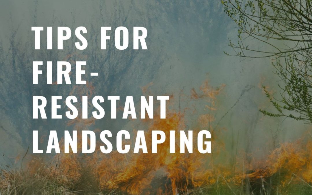 Fire-Resistant Landscaping in SEQ: Protecting Your Home as Bushfire Season Begins