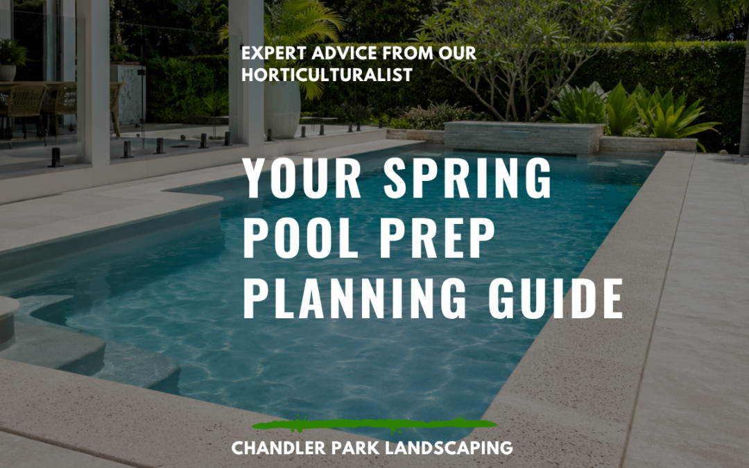 Pool Landscaping in Brisbane: Your Spring Pool Prep Planning Guide